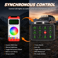 Nouveau Panneau de Commande 12 Gang avec Synchronisation par Application, Boîtier de Relais et Fusibles RGB 16M, IP65, Robuste Universel, Garantie 2 Ans, pour Rénovation/Mise à Niveau et Utilisation en Flotte