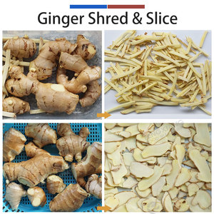 FC-501 Ginger Slicing and Shredding Machine Adjustable Cut Size <b>Vegetable</b> Ginger <b>Cutter</b> Commercial Food Processing Equipment - Product Image 2