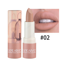 Handaiyan Baume à Lèvres Mat Rouge à Lèvres Nude Vegan Longue Durée Velours Brume Minérale Beauté Maquillage pour Lèvres à la Mode Tube en Papier