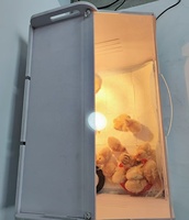 Nouvelle boîte de rangement JT pour poussins, panneau en PVC blanc + acrylique, 110/220V, garantie 1 an, utilisation domestique et agricole, moteur de chauffage