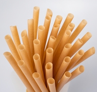 Pailles en bagasse de canne à sucre biodégradables et compostables, écologiques, pour la maison, les restaurants et les fêtes