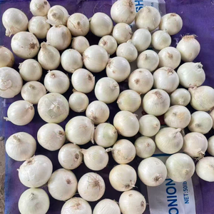 Cebolla Fresca Roja, Amarilla y Blanca, <span class=keywords><strong>Precio</strong></span> al por Mayor para Exportación - Product Image 4