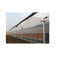 Serres à film plastique tunnel multi-travées agricoles à faible coût avec système hydroponique pour la culture de tomates/fraises/concombres