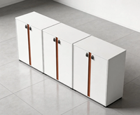 Armoire basse moderne en panneau écologique de qualité E1, double refroidissement, serrure à code, hauteur réglable, finition mélamine résistante à l'usure, anti-rouille