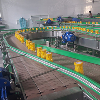 Volautomatische Ingeblikte Olijvenproductielijn/Ingeblikte Fruitverwerkingslijn