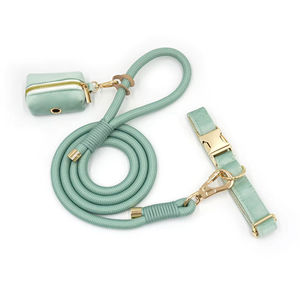 Produits uniques 2026 : Collier pour chien en velours doux vert sauge, laisse en polyester pour animaux, corde et porte-sac à déjections canines doré tendance - Product Image 1