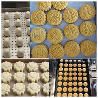 Machine de mise en plateau multifonctionnelle pour la préparation de pâtisseries, biscuits, gâteaux de lune et pains, pour lignes de production de boulangerie