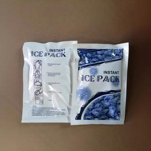 แพ็คเย็นสำเร็จรูปแบบใช้ครั้งเดียวสำหรับอุปกรณ์บำบัดฟื้นฟู ปี 2025 - Product Image 4