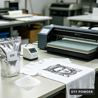 Poudre adhésive thermofusible en polyuréthane lavable, blanche, TPU, pour transfert thermique DTF, impression sur t-shirts