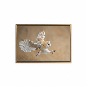 Barn Owl <b>Canvas</b> Art: Before Attack - Printed <b>Canvas</b> Wall Decor,GOLD <b>FRAMED</b> <b>CANVAS</b> - Product Image 2