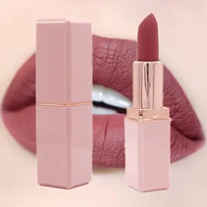 Lipstik Kustom Label Pribadi Kualitas Tinggi Matte Kedap Air 70 Warna Lipstik Korea