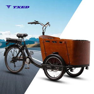Tricycle électrique populaire TR02 Hiten avec freins à disque arrière V-brake, 7 vitesses, batterie lithium 36V 13Ah et cadre en acier soudé - Product Image 1