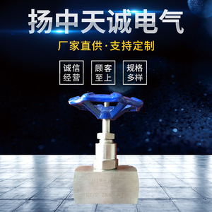วาล์วเข็ม Yangzhong Tiancheng G1/2 Dn10 สแตนเลสเกลียวใน แบบตรง สำหรับใช้กับน้ำ - Product Image 2