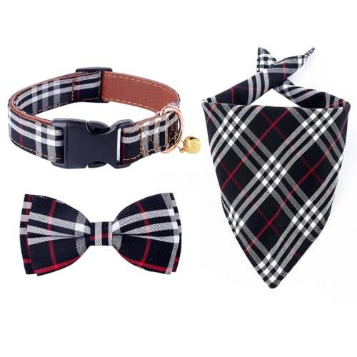 ปกดำ + ผ้าพันคอ