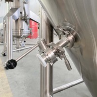 Cuve de fermentation conique à double enveloppe de 250 L, équipement de fermentation de bière artisanale personnalisable pour brasserie artisanale et brasserie publique