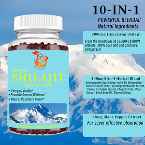 Gomitas de Shilajit del Himalaya de Marca Privada con Cúrcuma y Ginseng, Suplemento Herbal para Aumentar la Energía y Ayudar a Controlar el Estrés - Product Image 2