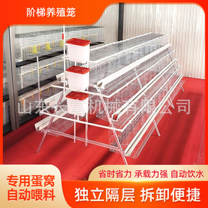 ตาข่ายลวดกรงไก่แบบ A สำหรับฟาร์มอัตโนมัติ - Product Image 5