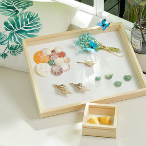 Nordic Style wood and glass specimen frame photo painting picture shadow box