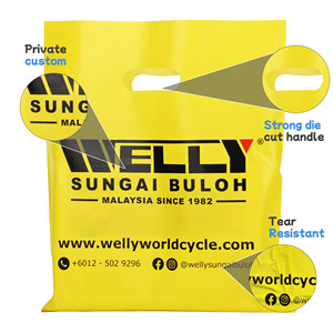 Thiết kế logo tùy chỉnh in sai túi nhựa mua sắm túi nhựa mua sắm tùy chỉnh túi nhựa cứng mua sắm - Product Image 3