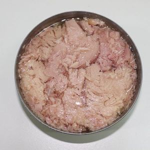 Atun enlatado al natural Al Agua Y <span class=keywords><strong>Sal</strong></span> Listo Para Comer fabrica directamente Gran Oferta Para Sudamerica - Product Image 1