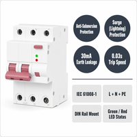 Wanbo-498 2P+PE 30mA Anti-Submersion Surge Lightning Leakage Overload 0.03s Perangkat Pelindung Rel DIN Pemutus Sirkuit