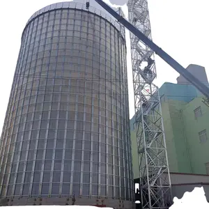 2500t high quality flat bottom paddy rice steel silo for sale