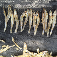 Produit Spécial du Vietnam : Anchois Séchés (Variété GLOBEFISH) Certifiés HACCP, 10kg/carton, Prix Bas en Gros, M. Kevin