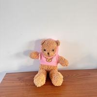 Ours en peluche en forme de cœur pour la Saint-Valentin, cadeau pour petite amie, jouet en peluche, poupée, best-seller