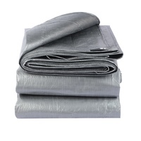 Bâche en toile imperméable multi-usage 250 g/m² 4x5 m en PE argenté pour échafaudage, bâtiment, entrepôt, abri