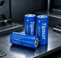 Cellule de batterie plate 32700 6Ah Tipsun 3.2V LiFePO4 à décharge élevée rechargeable