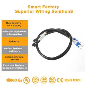 Draad-naar-printconnector 2-pins en draad 2-pins met 3-pins connector met draad voor basis elektronische verbindingen en doe-het-zelf-projecten - Product Image 3