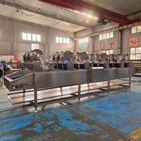 ZLPH Automatische Pasteuriseringsmachine voor ingeblikt fruit, vleesproducten en sauzen met ASME CE DOSH hoge efficiëntie