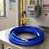 Tuyau de gaz EN 1762 de 10 mm, directement de l'usine, pour station de remplissage de gaz, distributeur de gaz naturel CNG propane, kit flexible en caoutchouc
