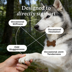 Suplemento Avanzado para el Cuidado de Cadera y Articulaciones de Perros, con Glucosamina y Omega 3, Cúrcuma, en Tabletas Masticables, Gran Venta en AMZ - Product Image 2