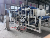 Presse à jus industrielle à haut rendement, presse à froid automatique en acier inoxydable pour pommes et poires