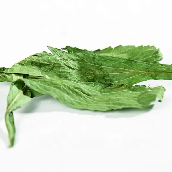 Commercio all'ingrosso della fabbrica In erbe secche naturali sciolte tè In foglia di Stevia Stevia essiccata foglie di rebaudiana prezzo economico