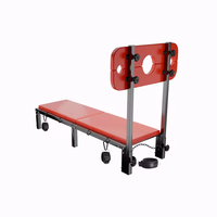 Chaise de jeu SM réglable pour le dropshipping, avec menottes, pour bondage, fessées et entraînement – Mobilier sexuel pour adultes