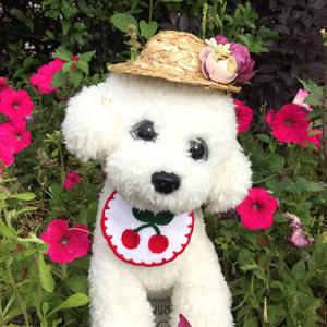 حار بيع Ins الكورية الحيوانات الأليفة باندانا مثلث مخصص الكلب باندانا المرايل القط عيد ميلاد عصابات بالجملة مع تسمية خاصة - Product Image 5