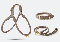 Ensemble de laisse et harnais pour chien de luxe, solide, tendance et durable, avec fermeture à boucle, sangle de poitrine réglable et douce pour la promenade des chiens de taille moyenne