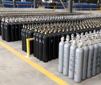 Cilindro de Gas Helio de 15L Aprobado por PED, Contenedor Industrial Vacío, Fácil de Operar, 1 Año de Garantía para Suministro Industrial Global