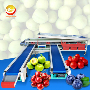เครื่องคัดขนาดและคัดเกรด<span class=keywords><strong>ผล</strong></span><span class=keywords><strong>ไม้</strong></span>และผัก ORME สำหรับกีวี มะเขือเทศ กระเทียม พร้อมเครื่องเคลือบแว็กซ์และเครื่องคัดเกรด <span class=keywords><strong>ราคา</strong></span> - Product Image 1