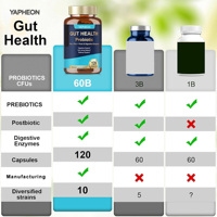 OEM 4 en 1 Probiotique pour la Santé Intestinale, CFU Pro Pre Post Biotique, Enzyme Digestive, Capsule Quotidienne pour l'Équilibre de la Microécologie Intestinale