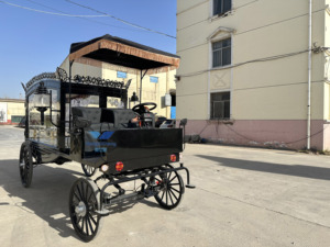 Carroza Fúnebre Eléctrica de Lujo HYS de Primera Categoría, Carroza Fúnebre con Caballos de Henan en Venta - Product Image 2