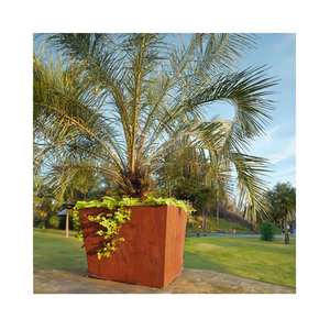 โรงงานผลิตแผ่นโลหะ Foshan กระถาง<span class=keywords><strong>ดอกไม้</strong></span>โลหะ<span class=keywords><strong>รูป</strong></span>ทรงต่างๆของเหล็กอลูมิเนียมและคอร์เทน - Product Image 2