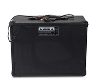 TG-40R Amplificateur de Guitare Électrique 40 Watts Puissant pour Vente en Gros