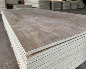 Láminas de <span class=keywords><strong>Madera</strong></span> Contrachapada Multiespesor Modernas de Fábrica Jiamujia, 9mm+, Chapa de <span class=keywords><strong>Cedro</strong></span> Natural, Grado E0 PRIMERA CLASE, Certificación CE - Product Image 2