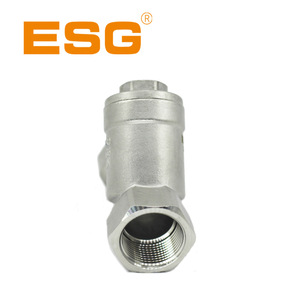 Válvula de Retención de Resorte Tipo Y de Acero Inoxidable ESG 304 con Rosca Interna, Válvula Unidireccional para Agua y Vapor DN15 a DN50 - Product Image 4