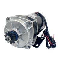 600W 36V/48V DC Motor DC Brushed Permanent Magnet Gear untuk Sepeda Listrik/Sepeda Roda Tiga/Skuter/Motor Perahu/Kipas MY1120ZXF