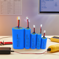 Petit haut-parleur amplificateur vidéo avec connecteur de câble 3.7V 1200mAh-3500mAh Batterie rechargeable au lithium-ion 18650