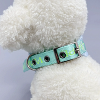 Collier pour chien en polyester tendance avec motif lettres, boucle ardillon détachable, pour promenade estivale